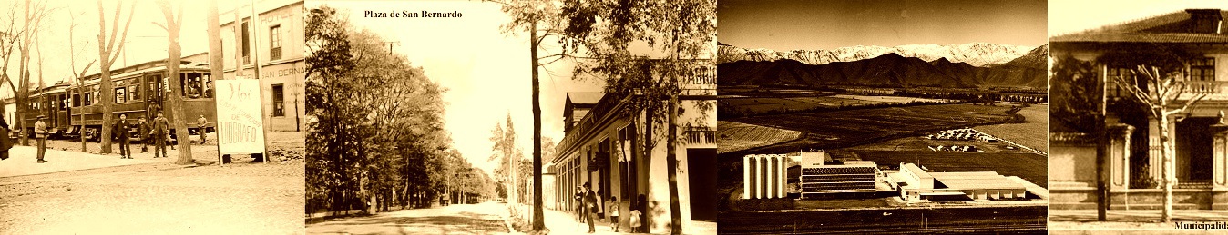 composicion san bernardo