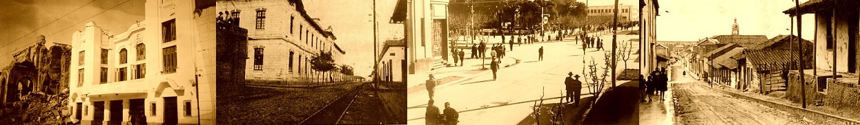 composicion-cauquenes
