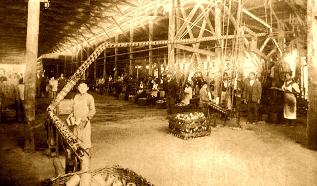 conservera